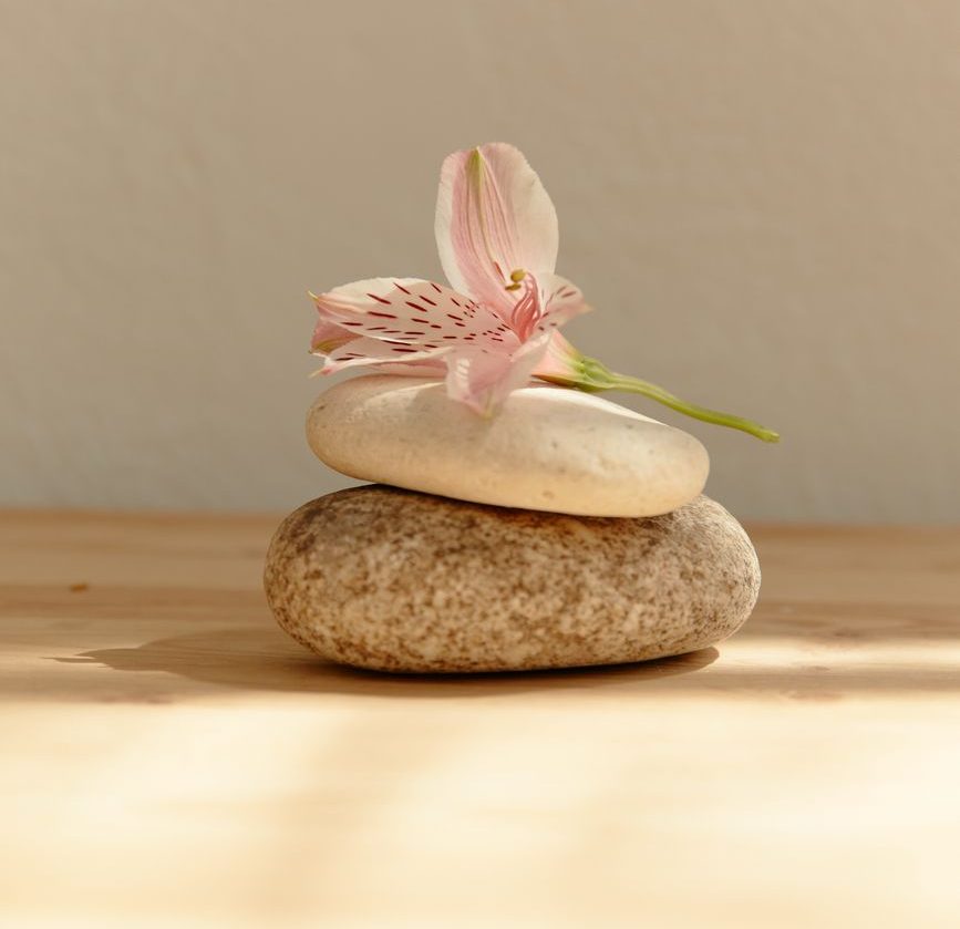 Stacked stones with a soft pink flower resting on tip, illuminated by natural light against a neutral background.